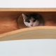 Image for article titled This Sleek Table Is Hiding a Playground For Cats